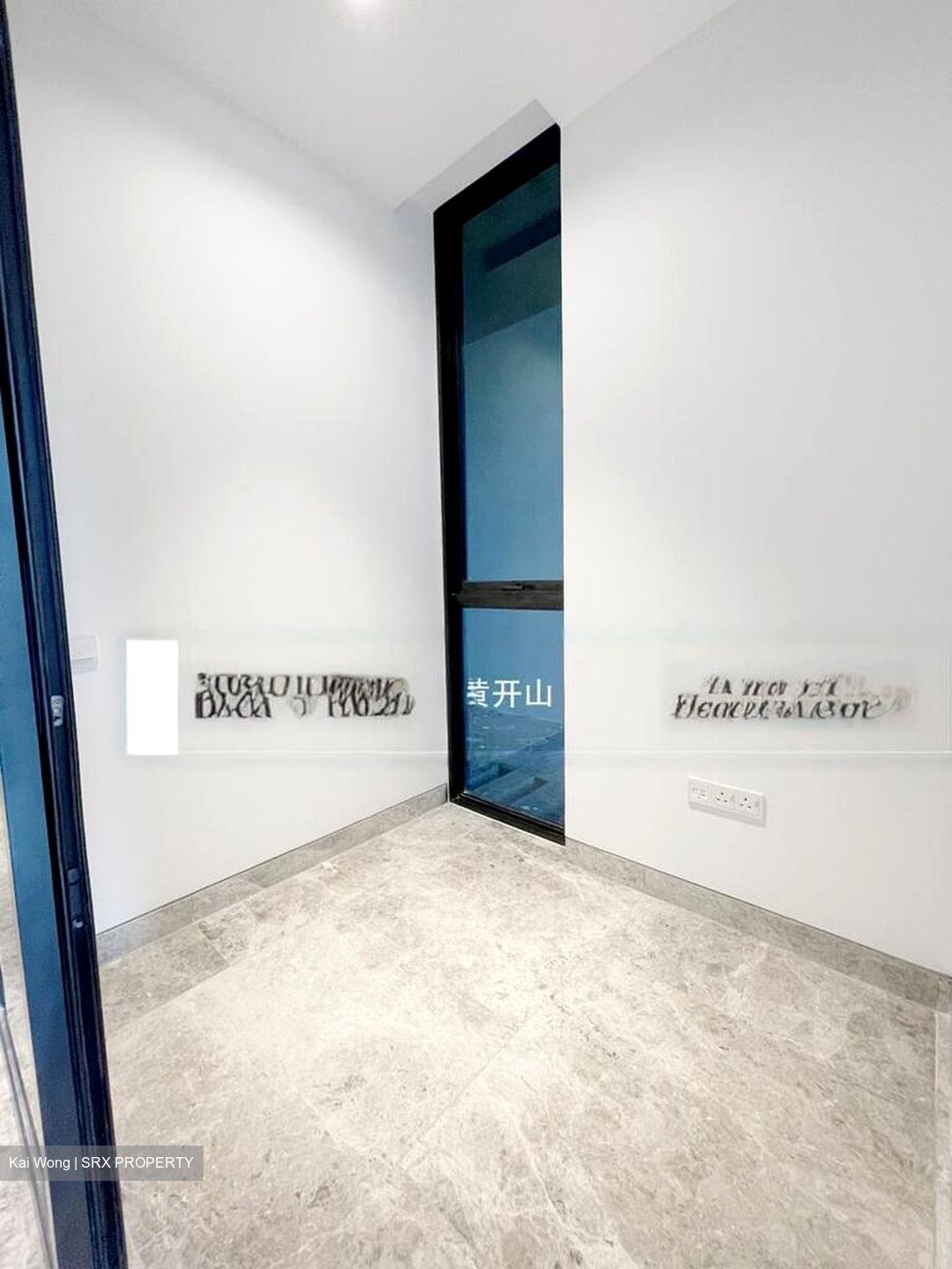 Jervois Privé (D10), Apartment #434256221